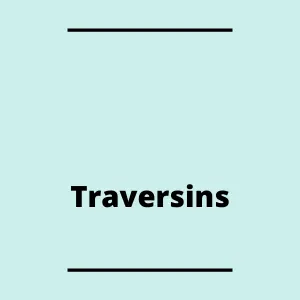 Traversins